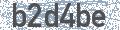 Security-Code